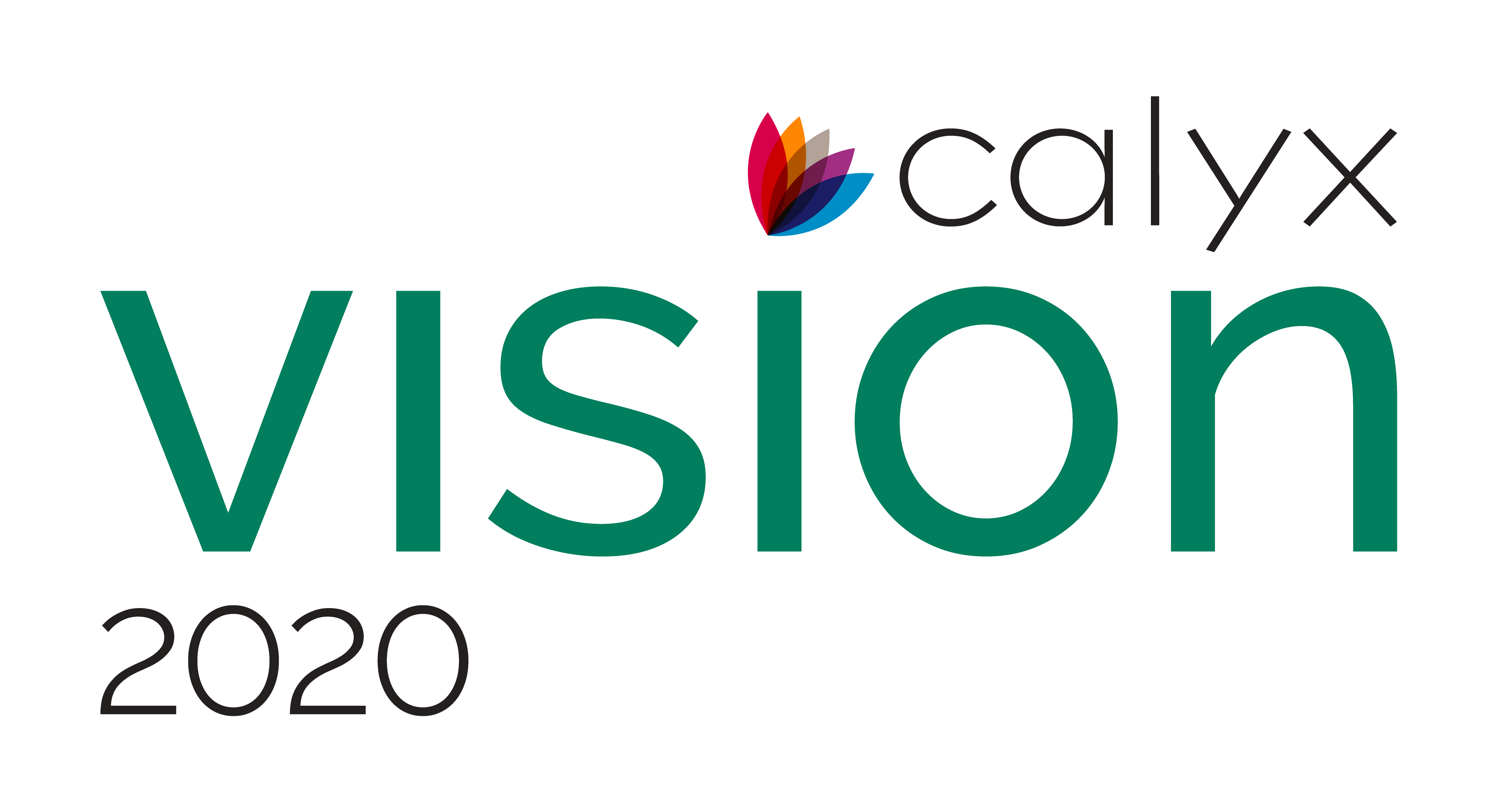 Vision 2020 Logo Vision 2020 Logo